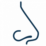 otorrinolaringologia-300x300-blue